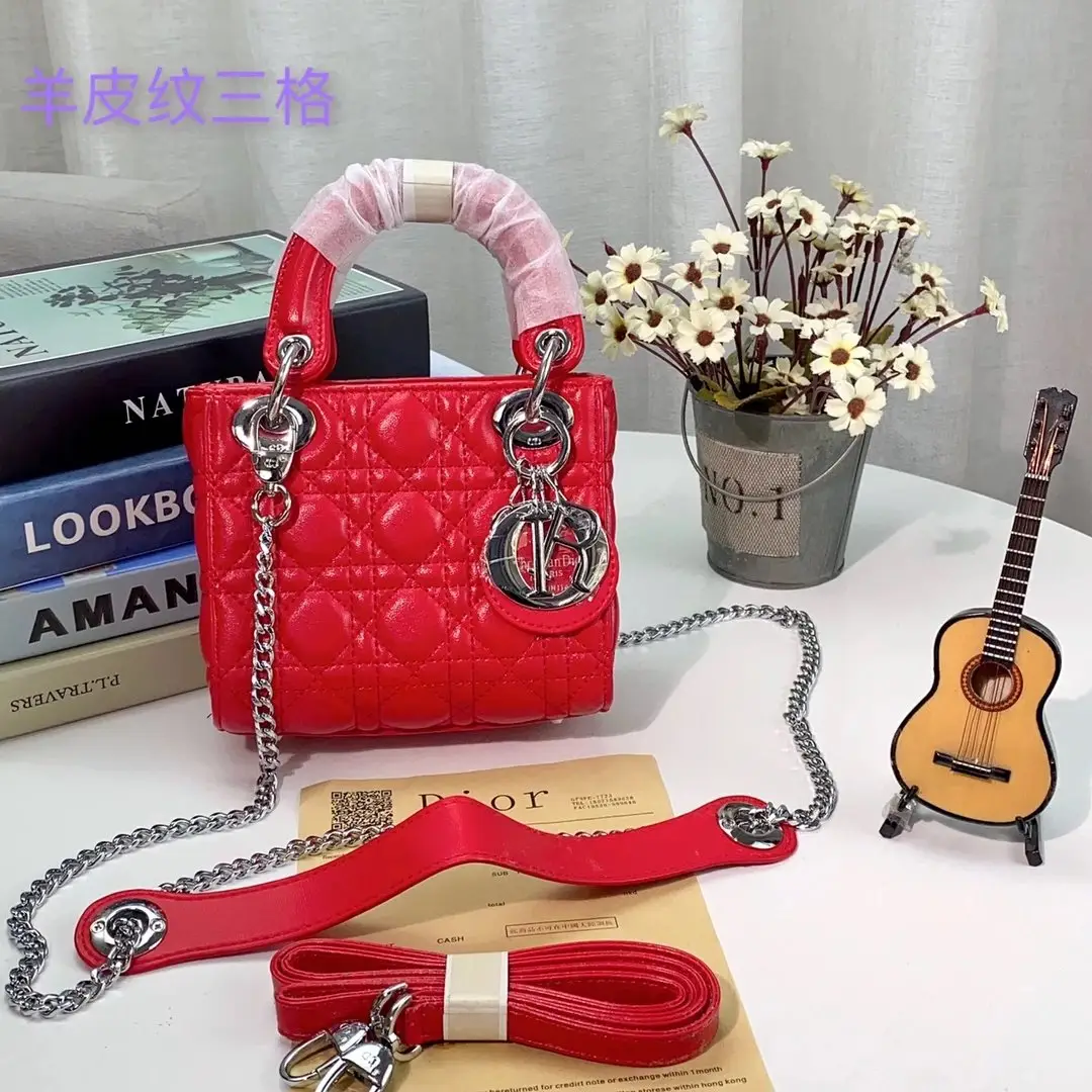 Dior Handbags [14 styles]